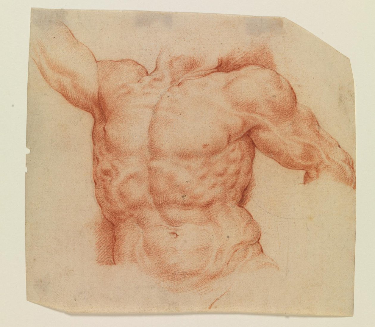 Vooraanzicht van de torso van Laocoön door Willem Panneels
