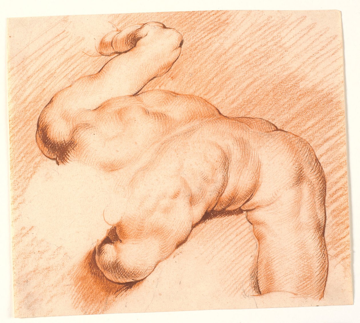 Worstelaren. Antieke beeldengroep. Bovenste figuur door Willem Panneels