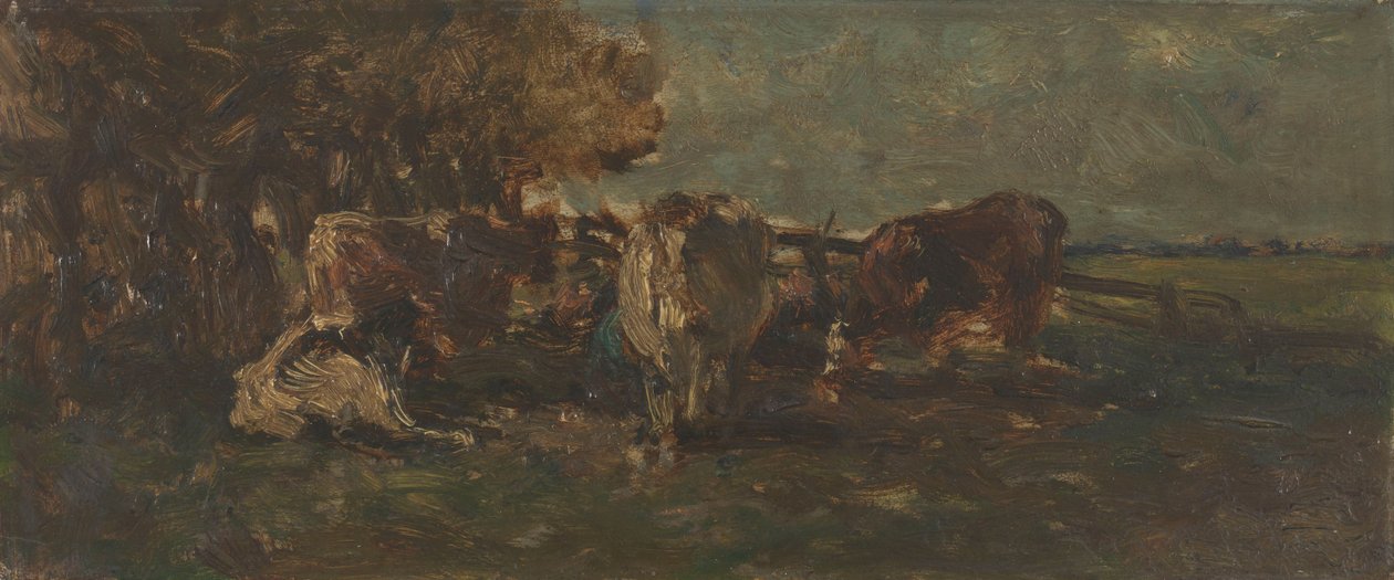  door Willem Roelofs