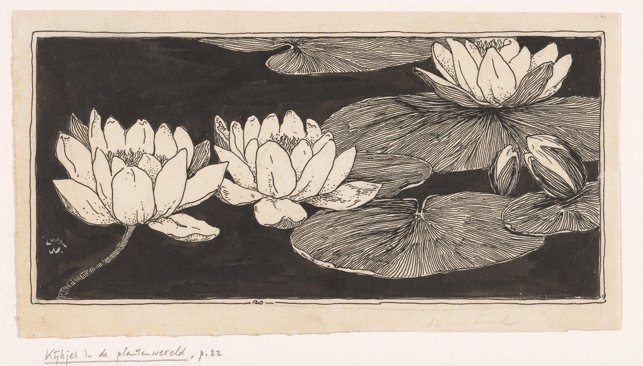 Waterlelies door Ludwig Willem Reymert Wenckebach
