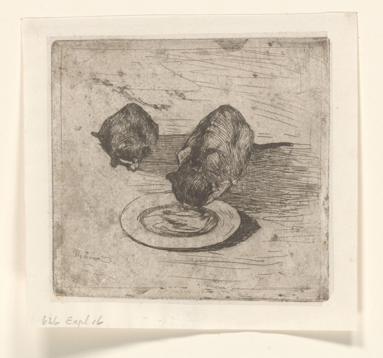 Twee katten, één drinkend uit een bord door Willem de Zwart