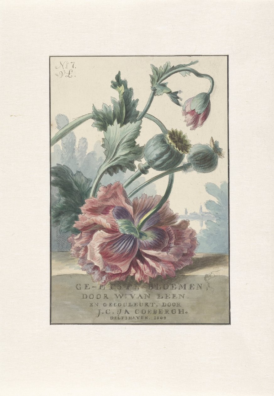 Klaprozen door Willem van Leen