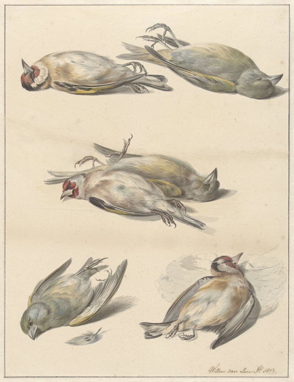 Zes dode vogeltjes door Willem van Leen