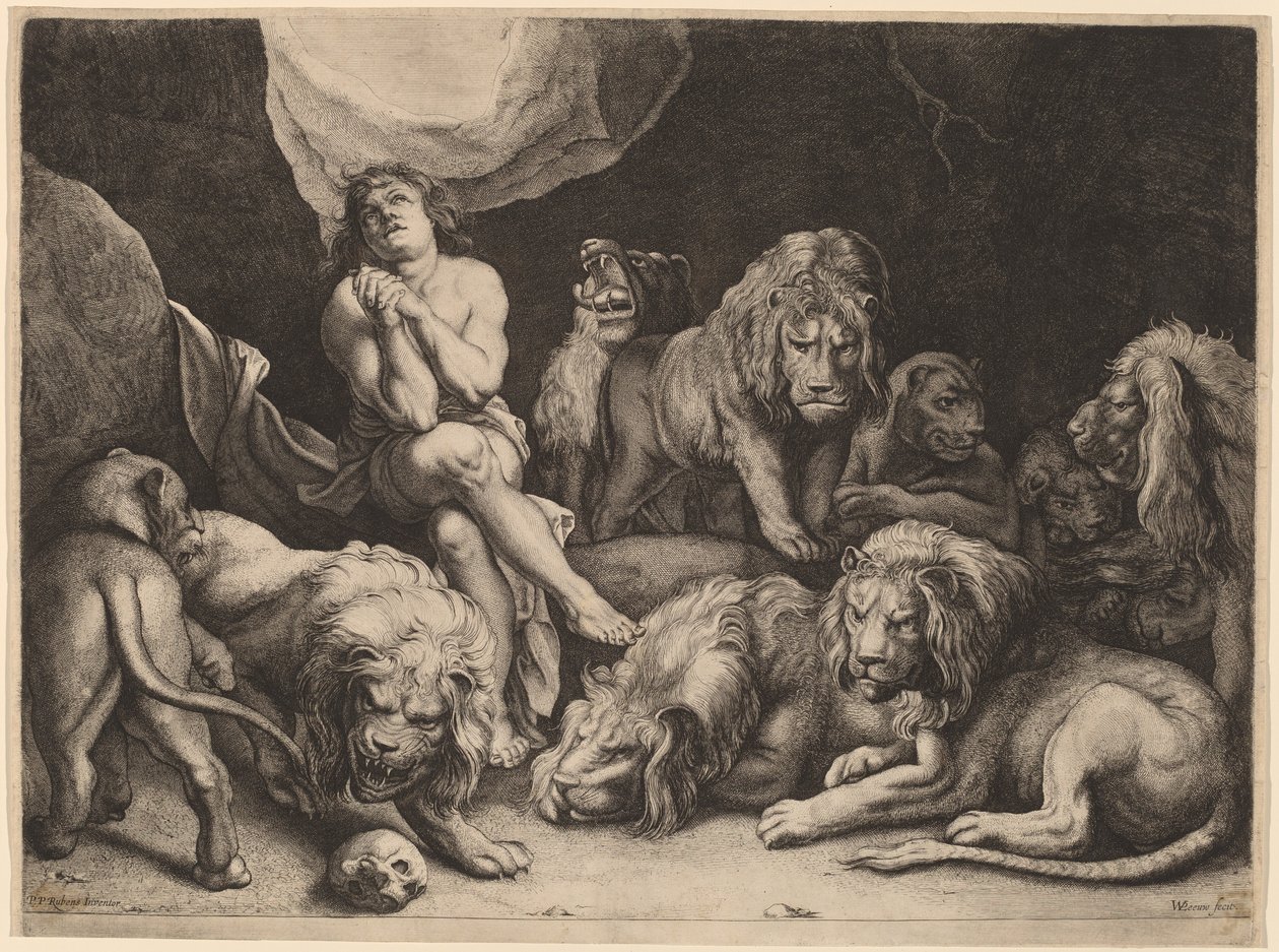 Daniël in de leeuwenkuil door Willem van der Leeuw after Sir Peter Paul Rubens