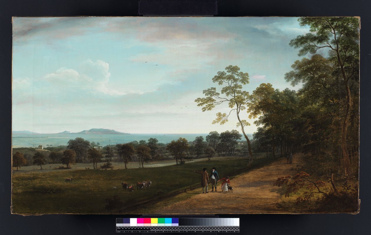Uitzicht in Mount Merrion Park, 1806 door William Ashford