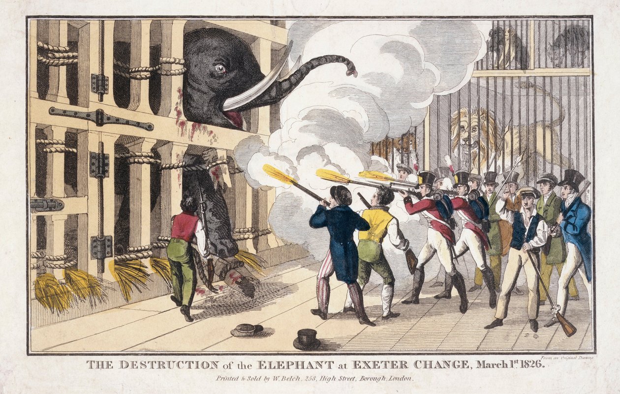 De Vernietiging van de Olifant vernietigd in Exeter door William Belch