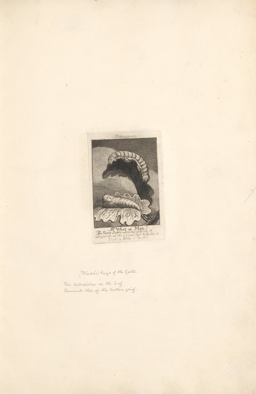 Voor de Geslachten- De Poorten van het Paradijs, Plaat 1, Titelpagina door William Blake