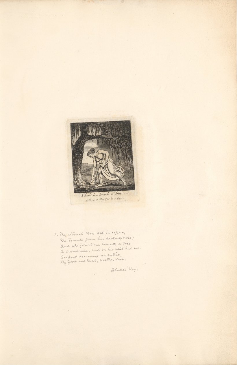 Voor de Geslachten- De Poorten van het Paradijs, Plaat 3, Ik vond hem onder een Boom door William Blake