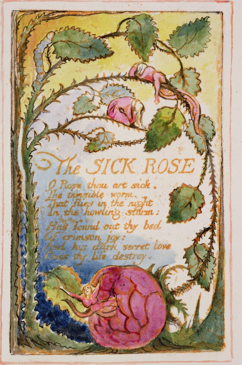 De zieke roos: plaat 39 uit Songs of Innocence and of Experience (kopie AA) c.1815-26 door William Blake