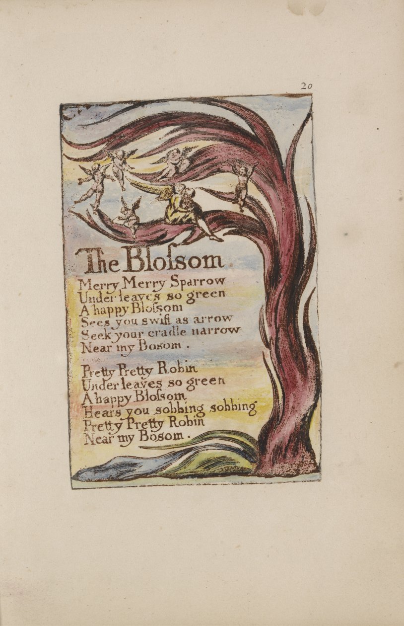 The Blossom, plaat 28 uit Songs of Innocence, 1789 door William Blake