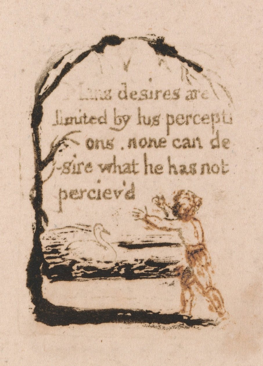 There Is No Natural Religion, Plaat 7 door William Blake