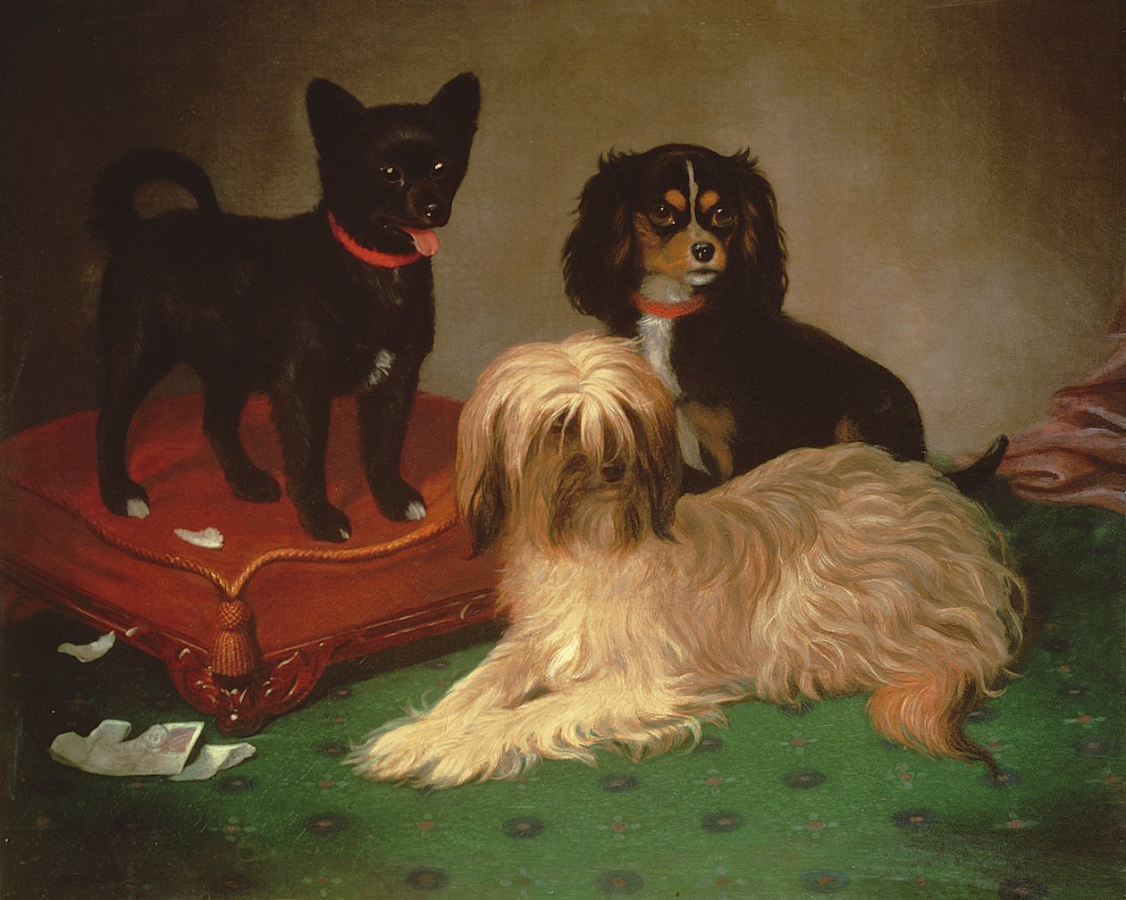 Drie honden door William Elsob Marshall