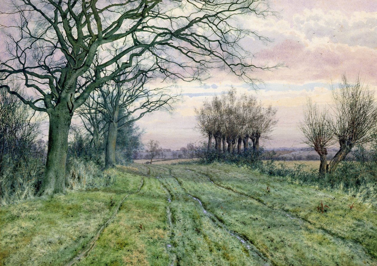 Een Fenland-laan met geknotte wilgen, 1887 door William Fraser Garden