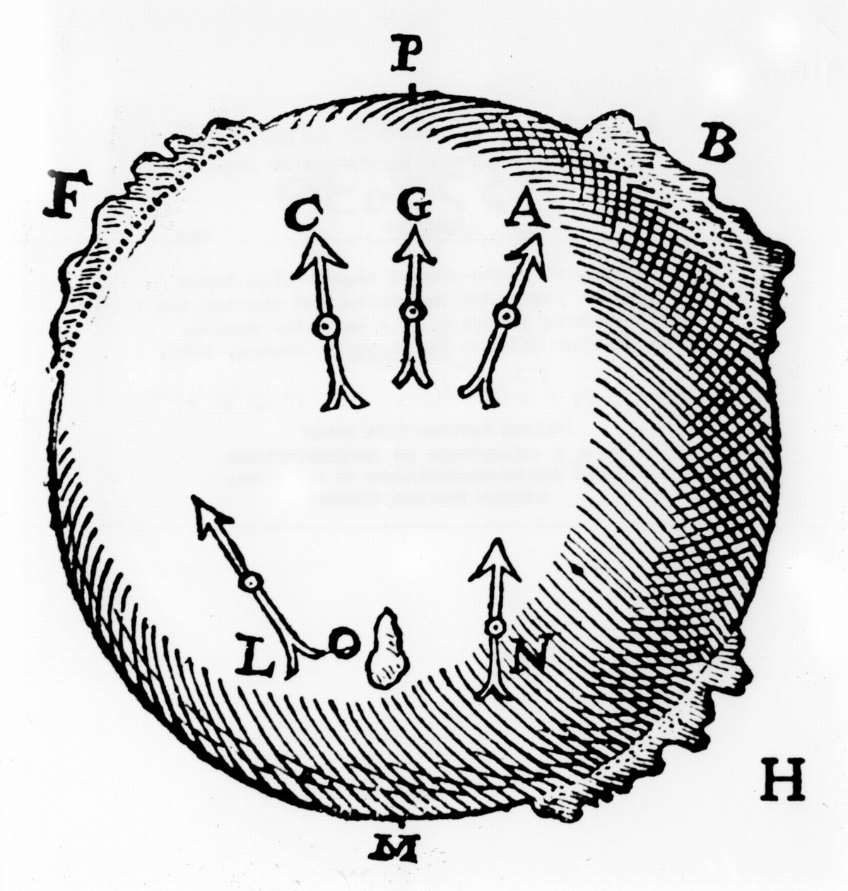 Een terrella of bolvormige magneet met ijzerklompen om bergen voor te stellen en het noordzoekende eigenschap van een magnetische naald te tonen. Uit William Gilbert De Magnete, Londen, 1600 door William Gilbert