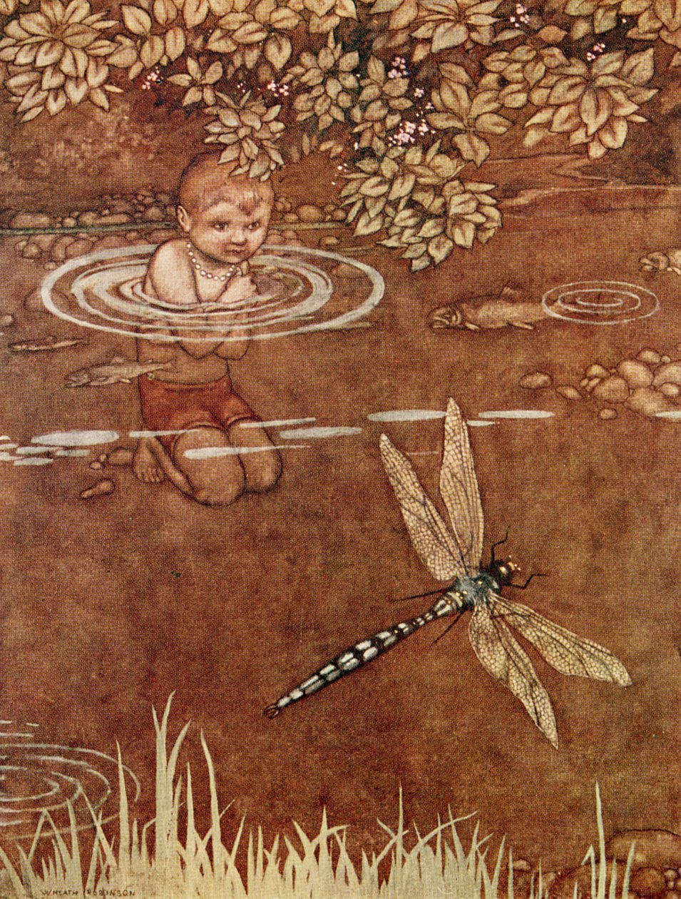 Hij Was Een Beetje Verwaand Over Zijn Mooie Kleuren en Zijn Grote Vleugels door William Heath Robinson