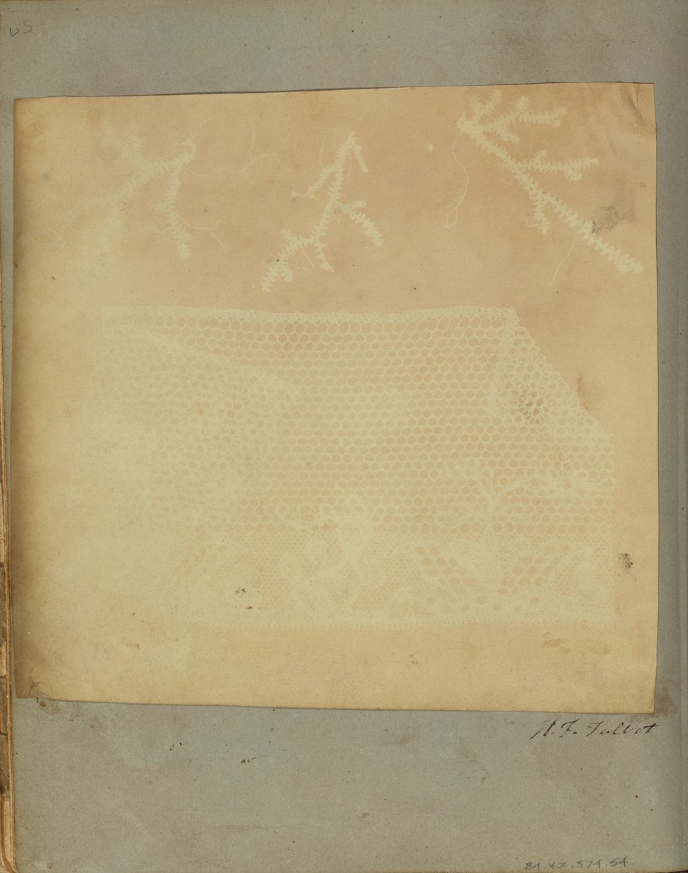 Een fragment van kant met drie mos takjes door William Henry Fox Talbot