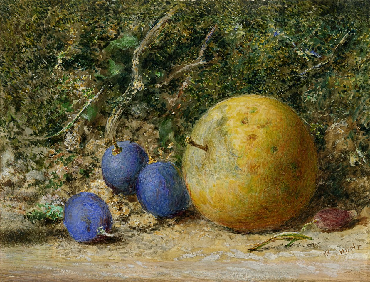 Drie Druiven en een Appel door William Henry Hunt