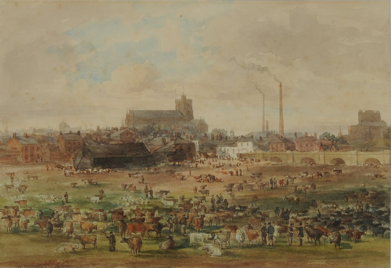 De Zanden, Carlisle - De Vee Markt, 1864 door William Henry Nutter
