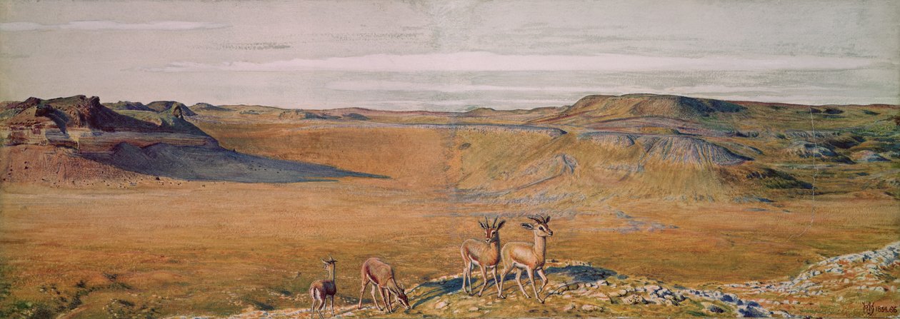 De Wildernis van Gizeh, 1854 door William Holman Hunt