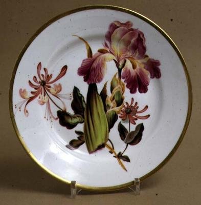 Derby dessertbord versierd met iris en kamperfoelie, ca. 1795 door William Quaker attributed to Pegg