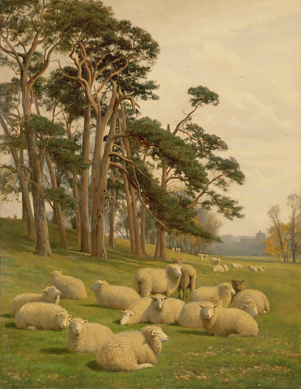 Zonnige weiden door William Sidney Cooper