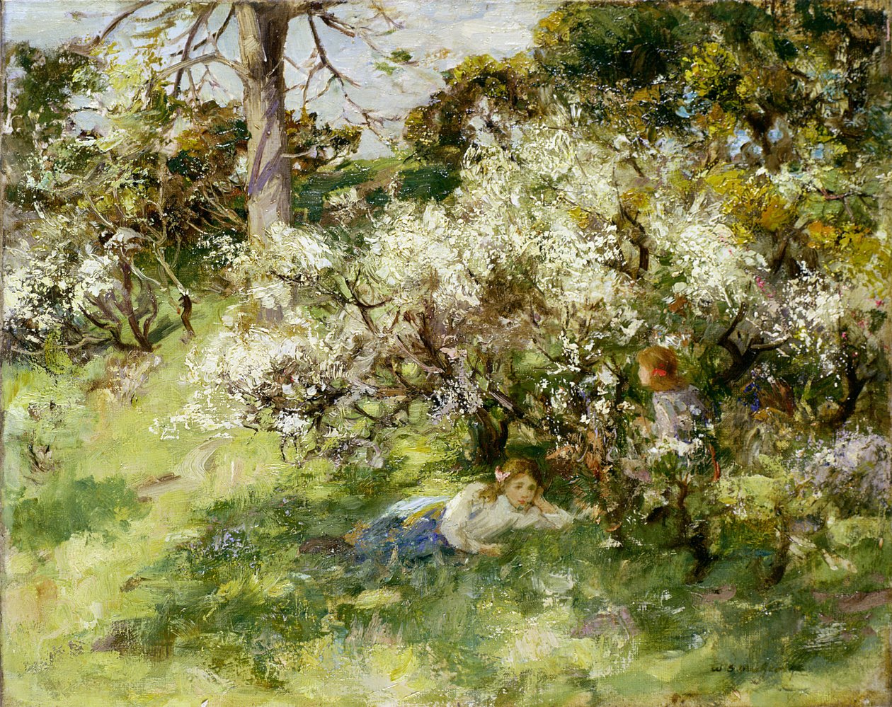 Sleedoornbloesem door William Stewart MacGeorge