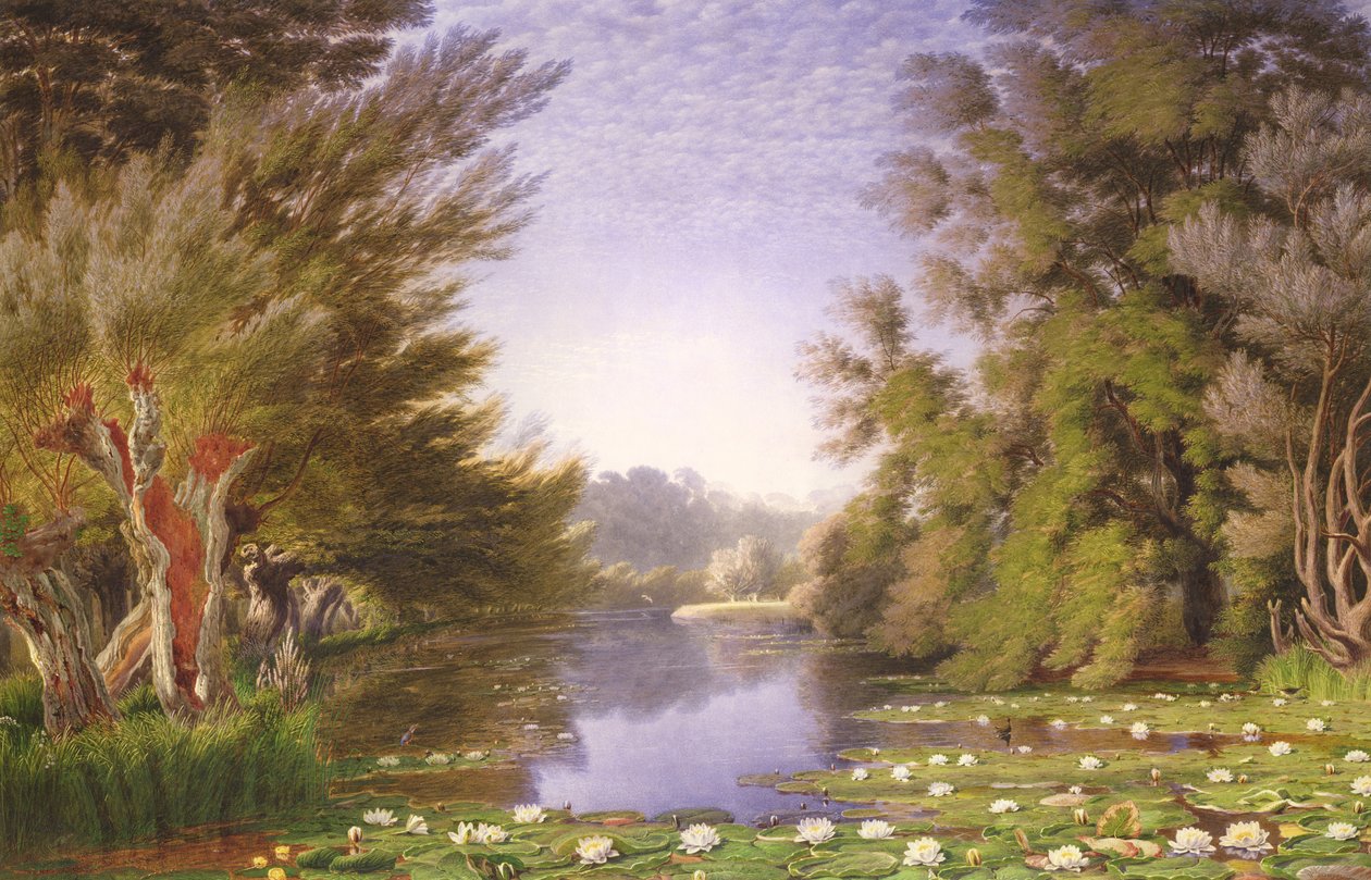 Waterlelies op de Cherwell door Joseph Mallord William Turner