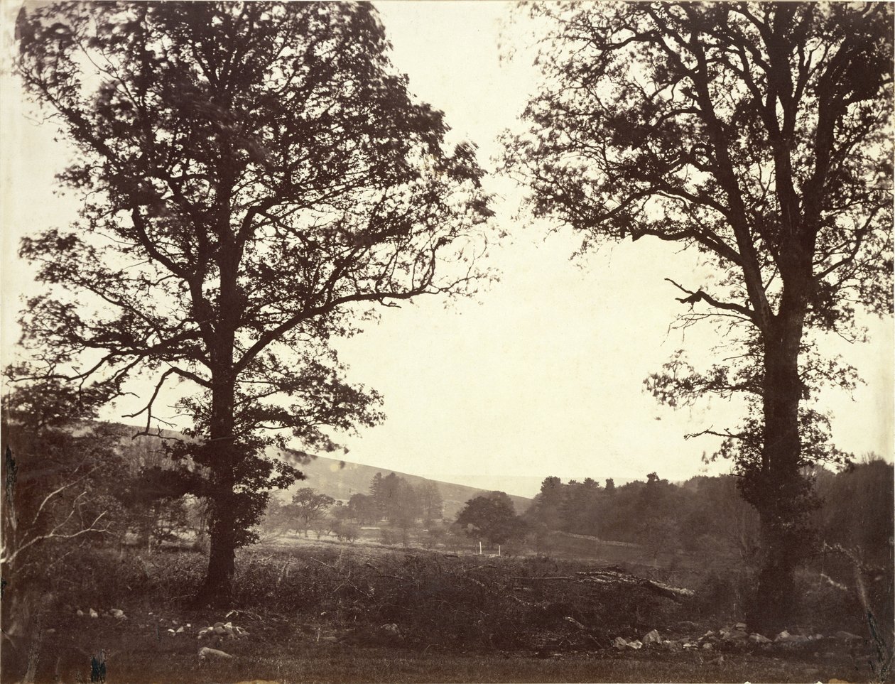 Landschap met iepen, Ashdown, Groot-Brittannië door William 2nd Earl of Craven