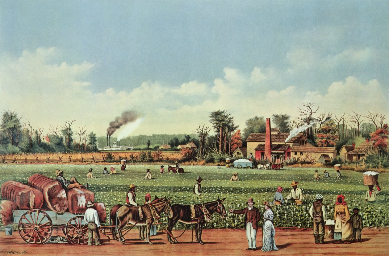 Een katoenplantage aan de Mississippi - de oogst door William Aiken (after) Walker