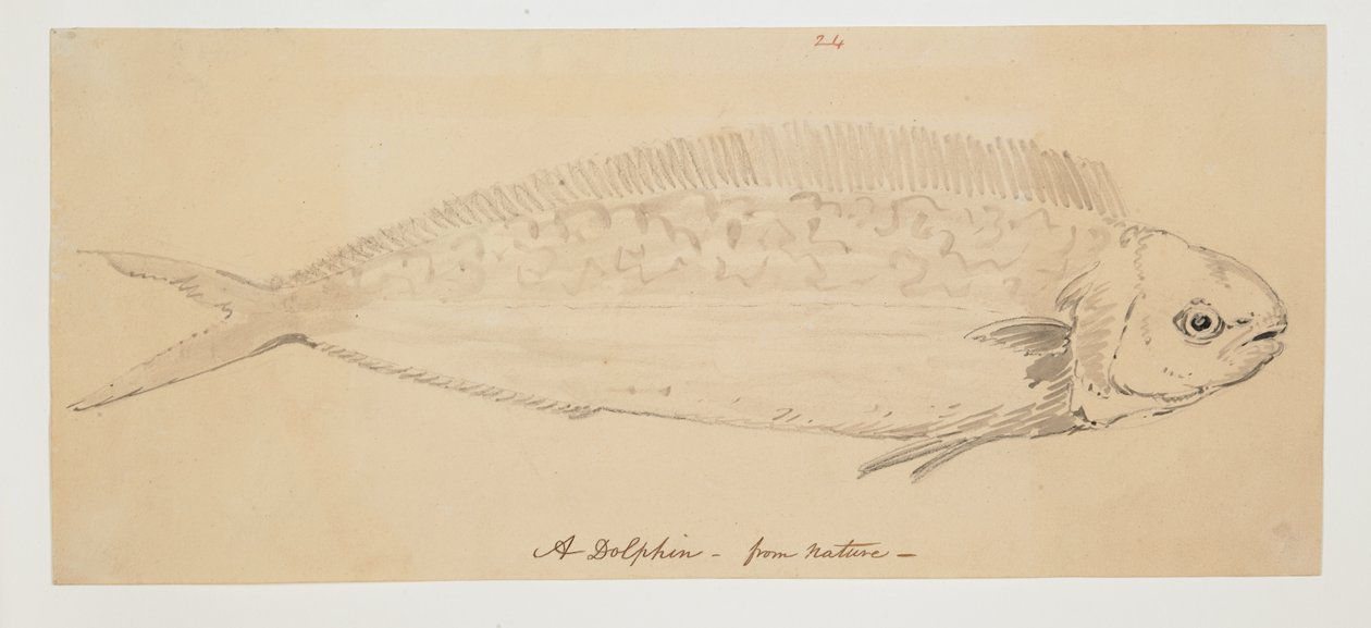 WD 961 f.24 door William Alexander
