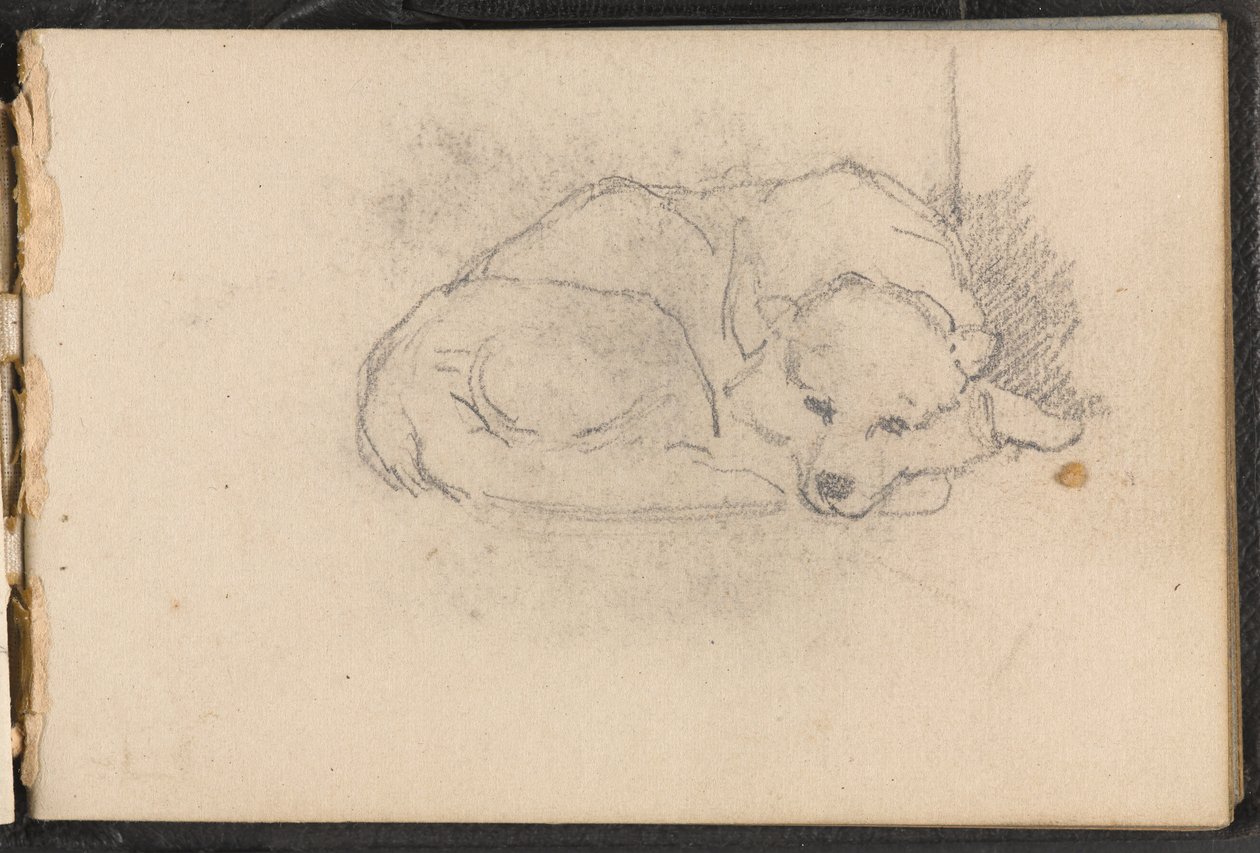 Schets van een slapende hond door William Barnes Wollen