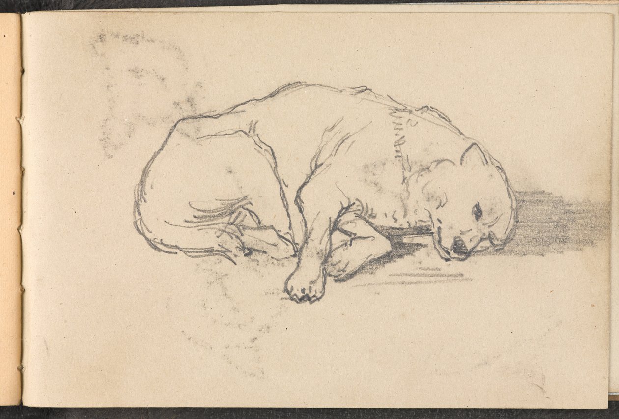 Schets van een slapende hond door William Barnes Wollen