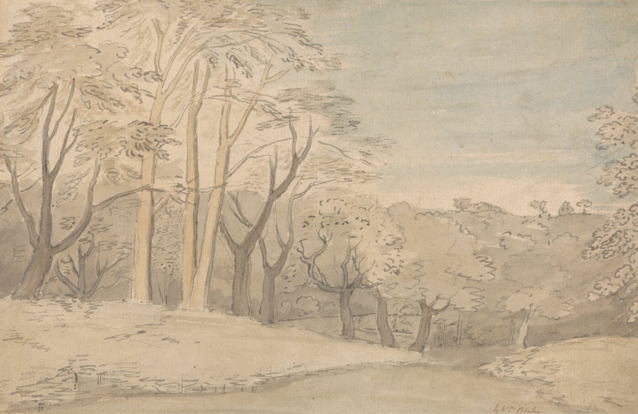 Een bosrijk landschap door William Blake