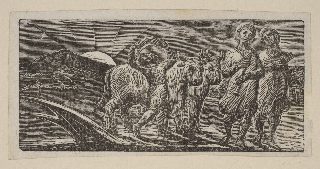 Jongen die vrolijk terugkeert, met ploeg en ossen, uit Thorntons Pastorals of Virgil, 1821 door William Blake