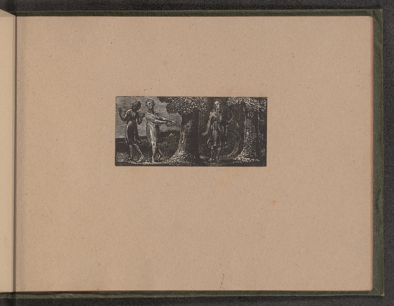Colinet bespot door twee jongens door William Blake
