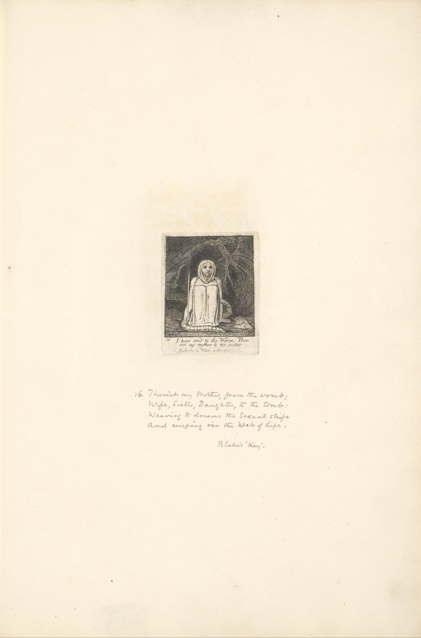 Voor de Geslachten - De Poorten van het Paradijs, Plaat 18, Ik heb tegen de Worm gezegd... door William Blake