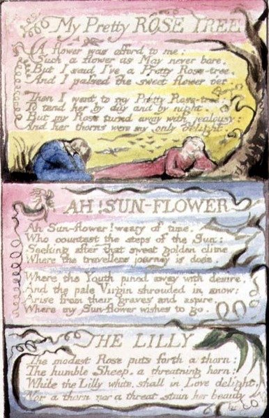 Mijn mooie rozenstruik; Ah! Zonnebloem; De lelie: plaat 44 uit 