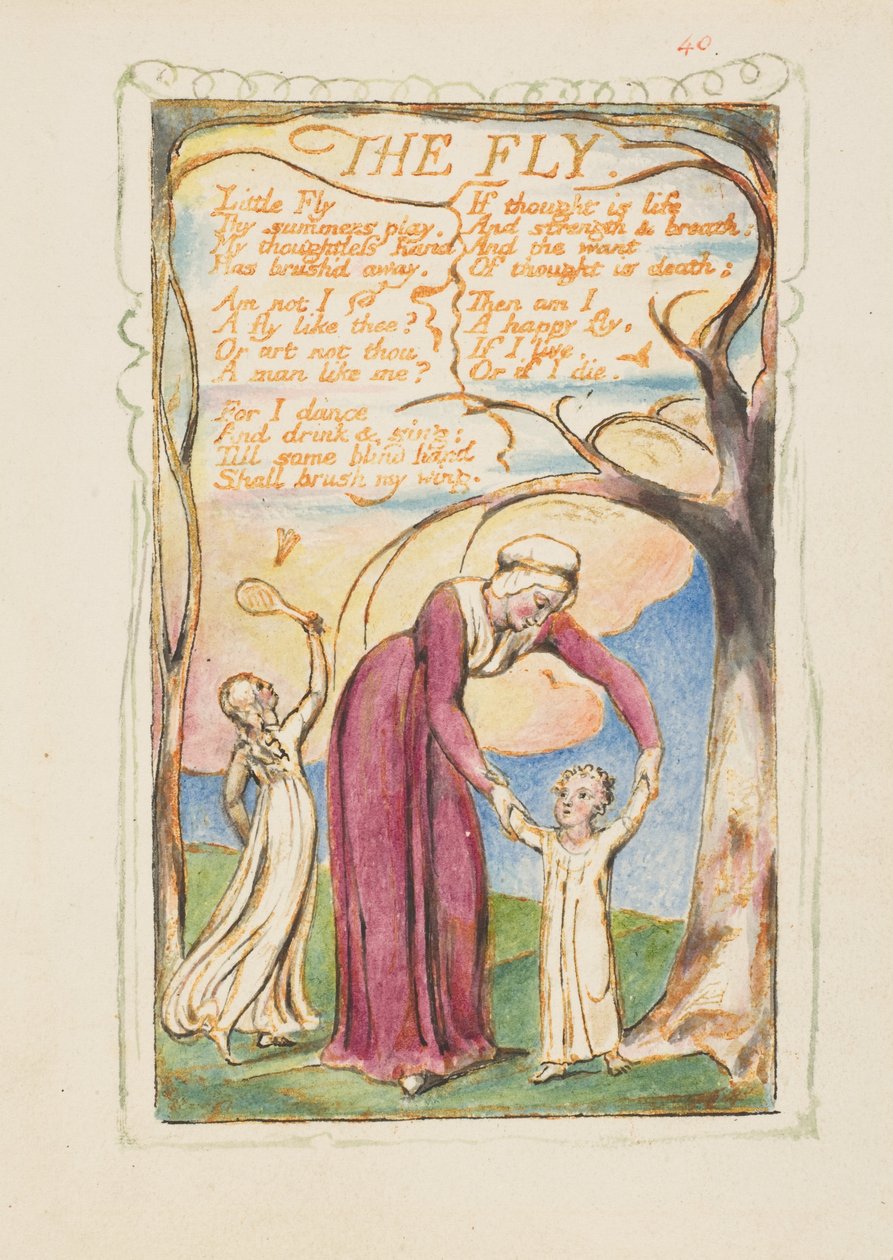 Lieder der Erfahrung: Die Fliege door William Blake