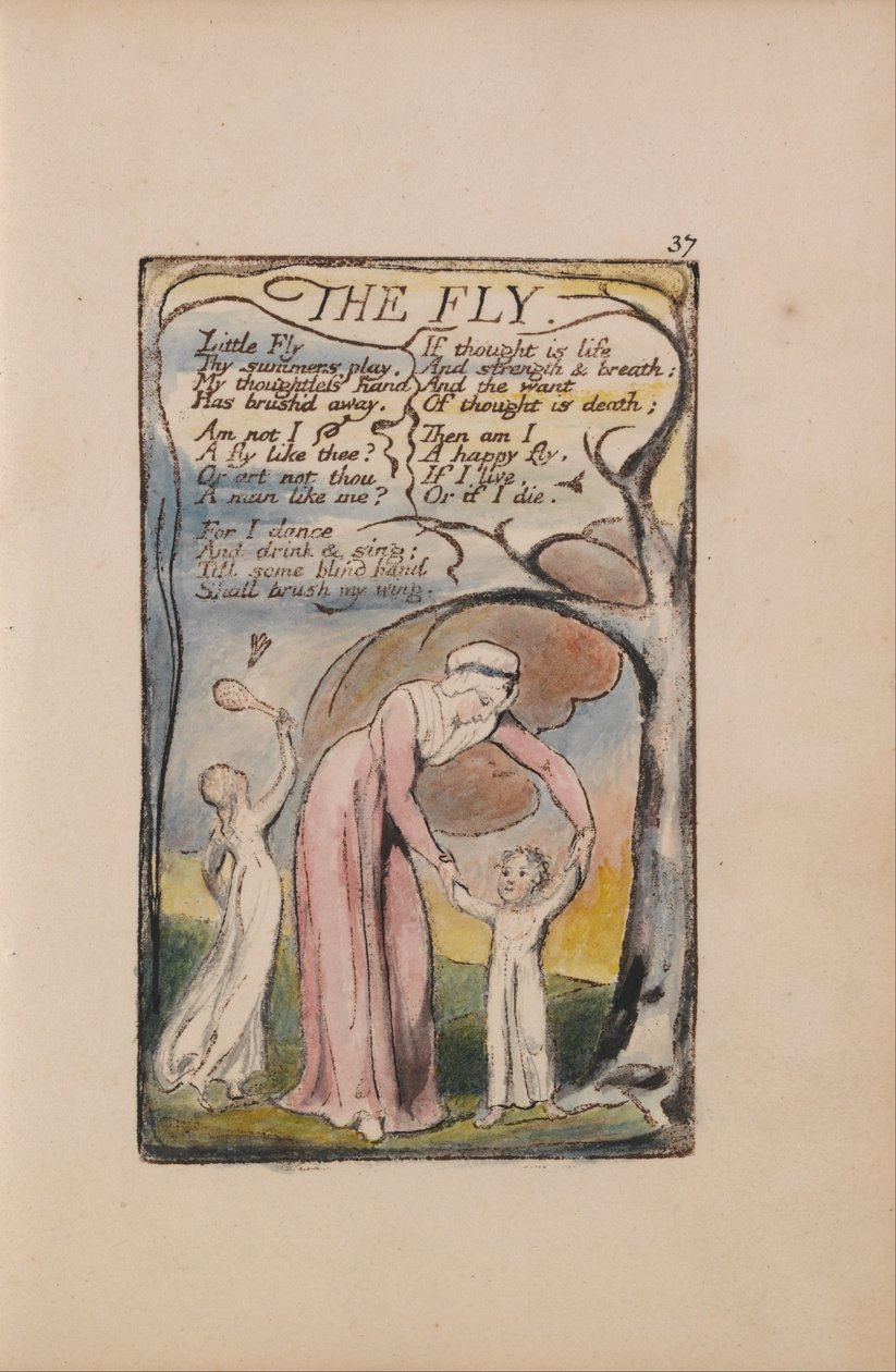Liederen van Onschuld en Ervaring, Plaat 37, De Vlieg (Bentley 40) door William Blake