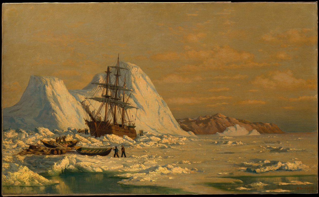 Een incident tijdens de walvisvangst door William Bradford