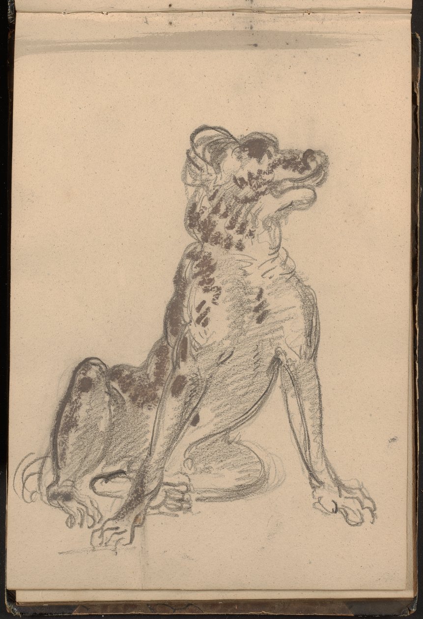 Portret van een hond door William Brockedon