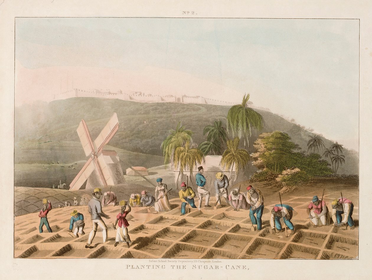 Het planten van suikerriet, c.1820 door William Clark