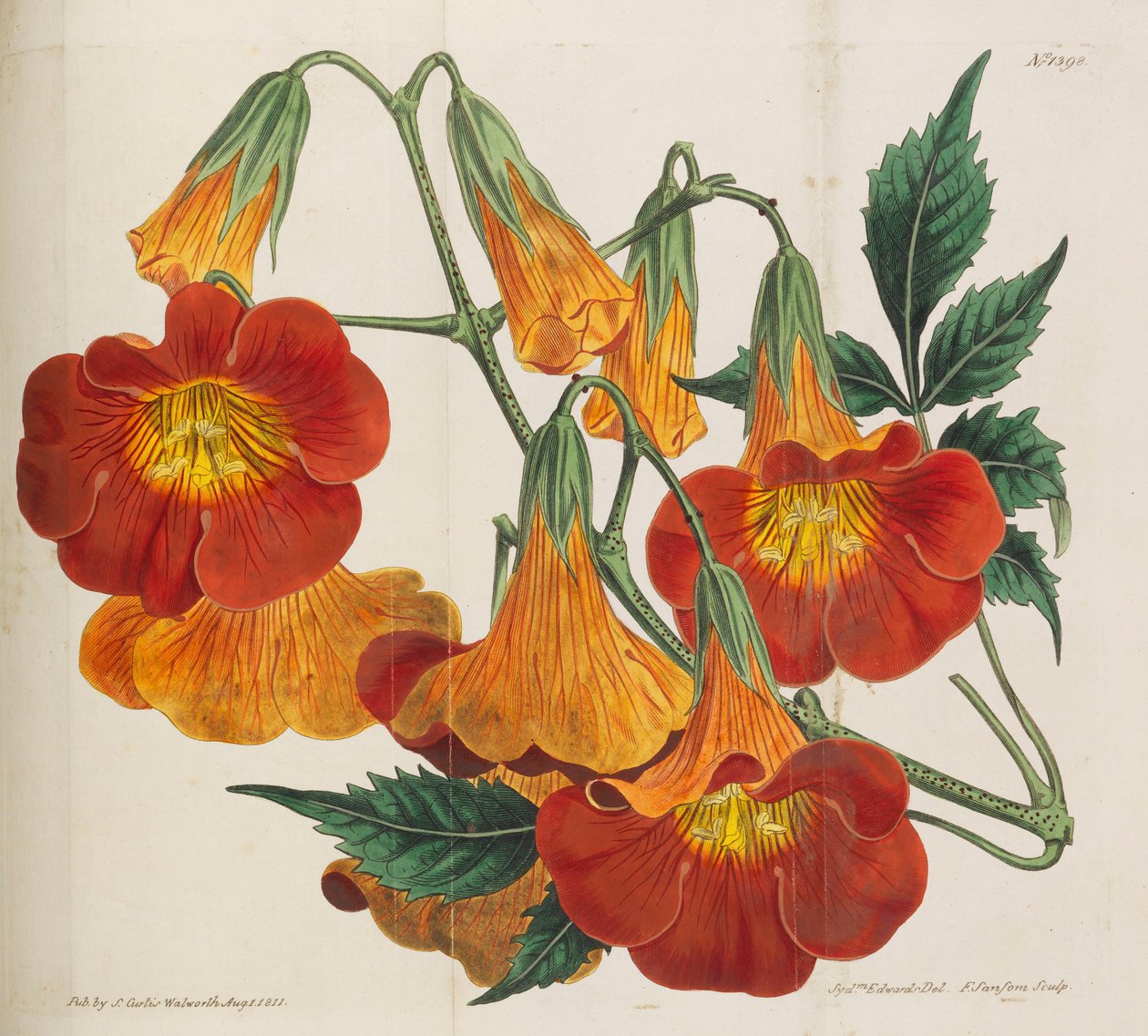 Botanisch Tijdschrift, 1787-1833 door William Curtis
