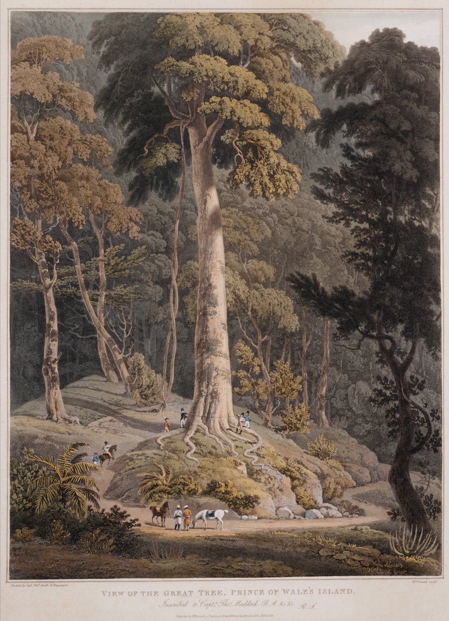 Uitzicht op de Grote Boom, Prins van Wales Eiland door William Daniell