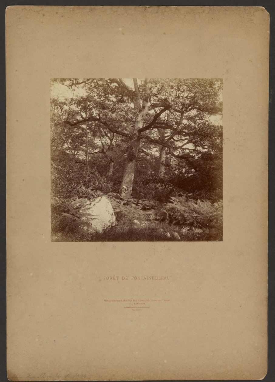 Bos van Fontainebleau door William Drooke Harrison