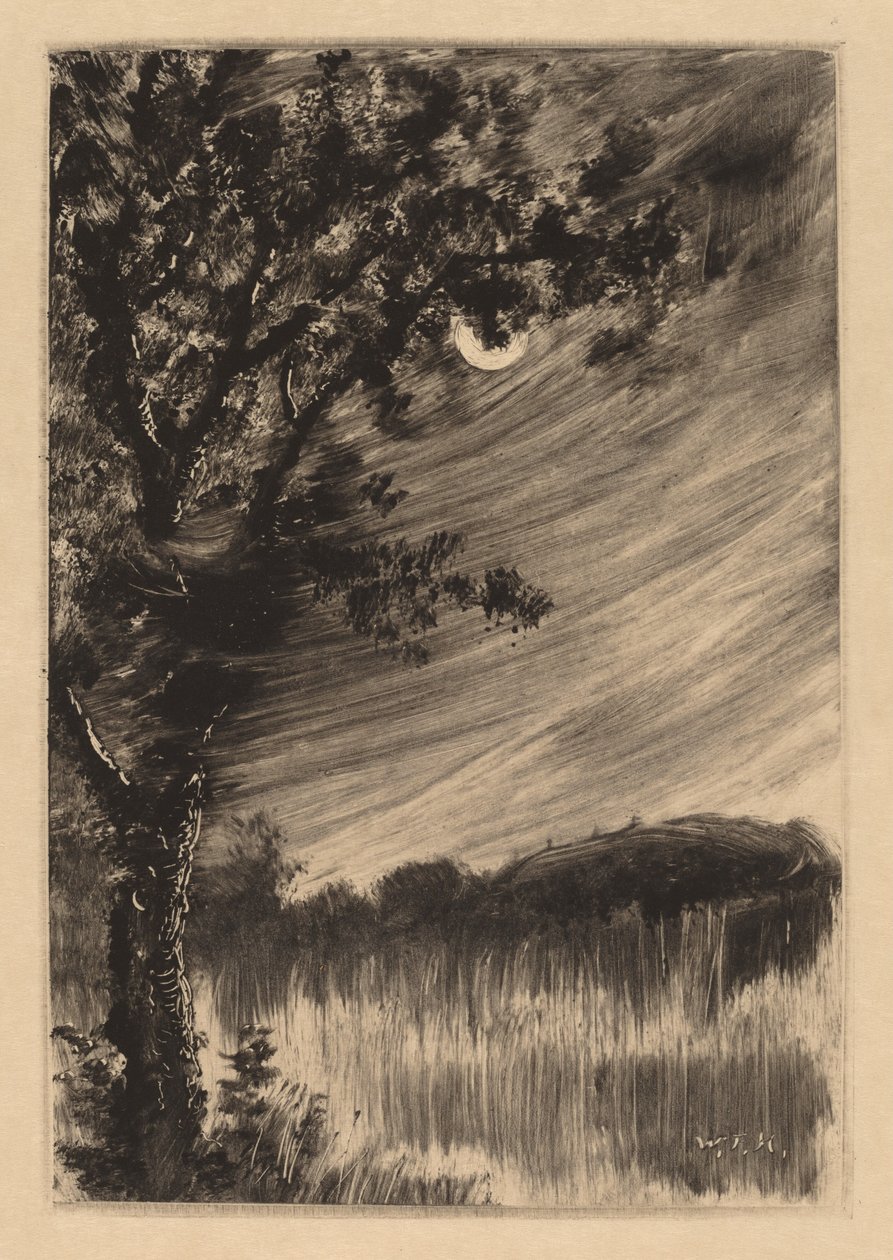 Landschap bij Maanlicht met Boom aan de Linkerkant door William Fowler Hopson