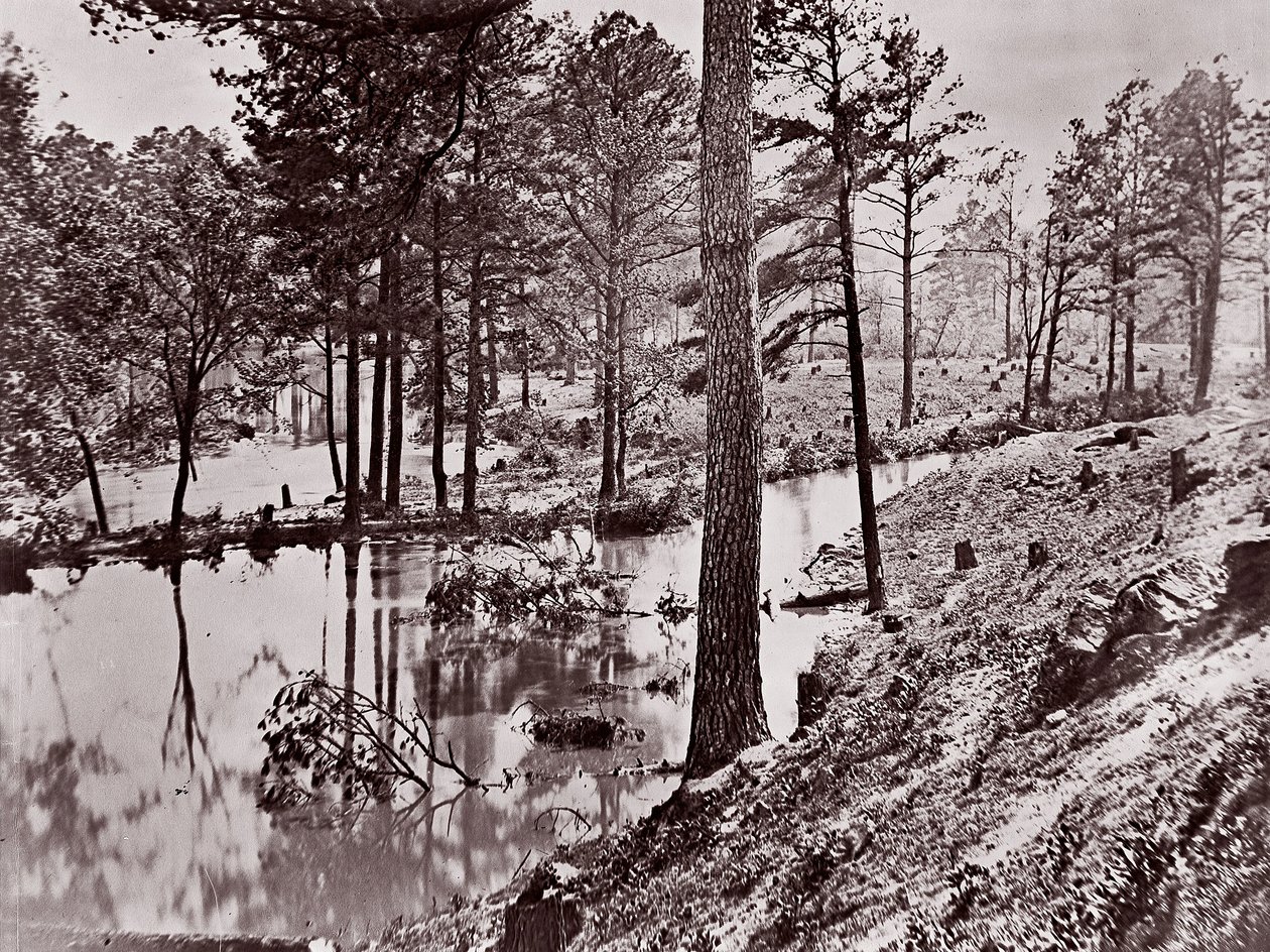 Broadway Landing, Appomattox River door William Frank Browne
