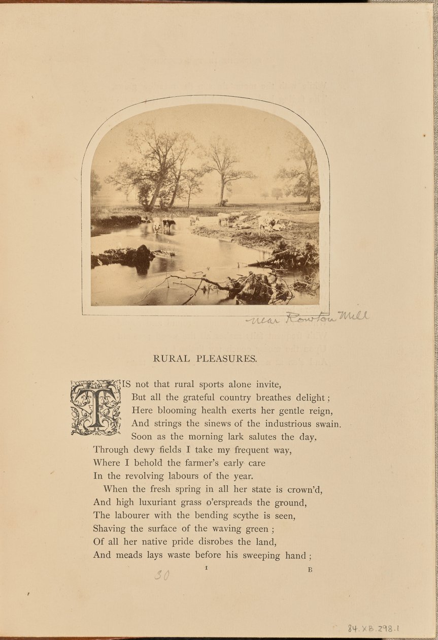 [Pastorale scène met vee in een overstroomd veld, Engeland]. door William Grundy