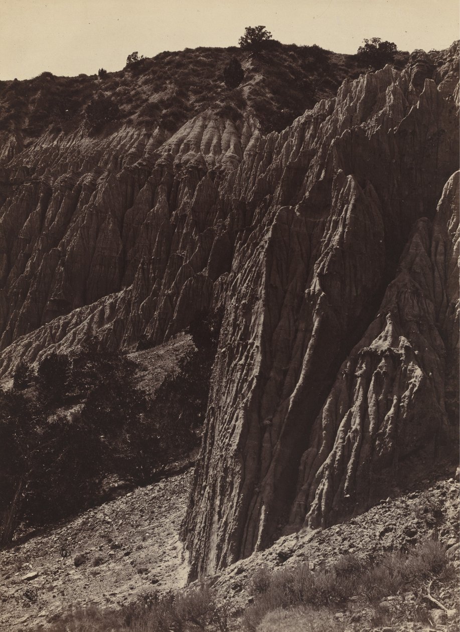 Regenbeeldhouwwerk, Salt Creek Canyon, Utah door William H. Bell