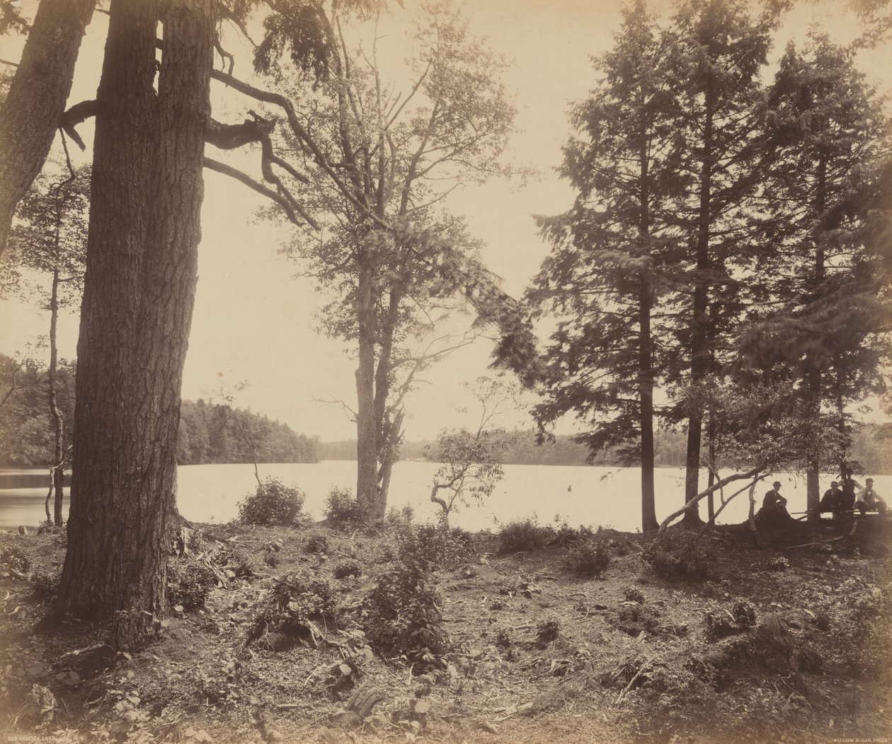 Ganoga Meer door William H. Rau